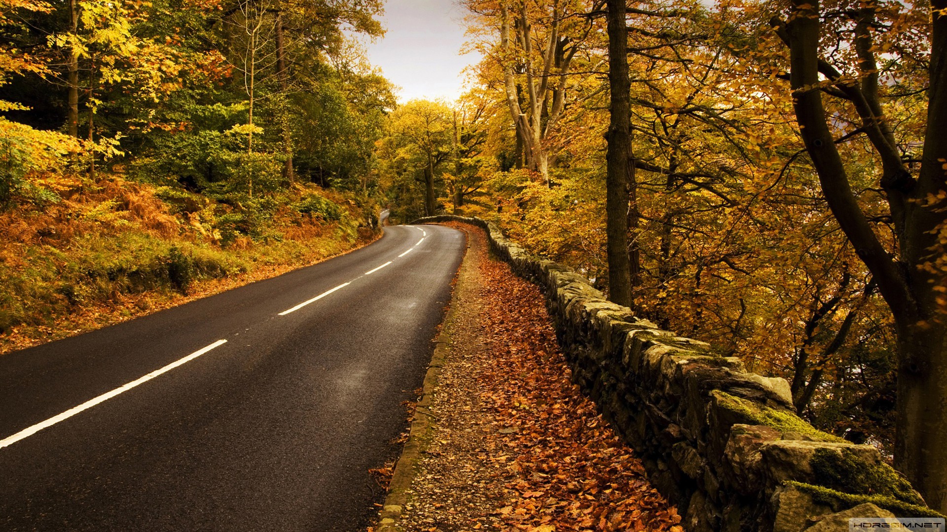 Orman yolu yaptırılacak
