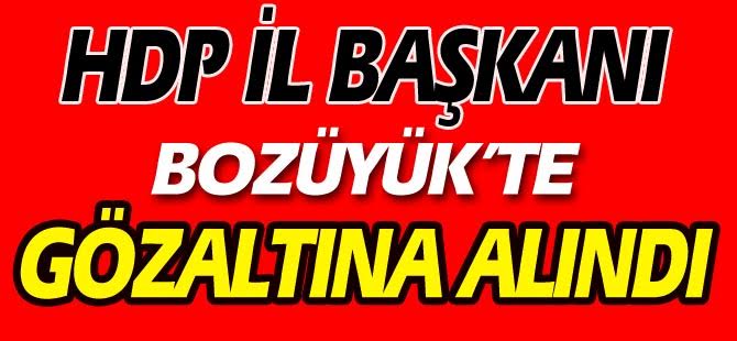 HDP İL BAŞKANI BOZÜYÜK'TE GÖZALTINA ALINDI