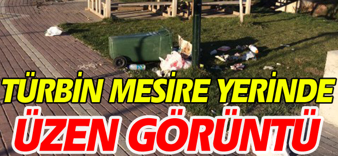 TÜRBİN MESİRE YERİNDE ÜZEN GÖRÜNTÜ