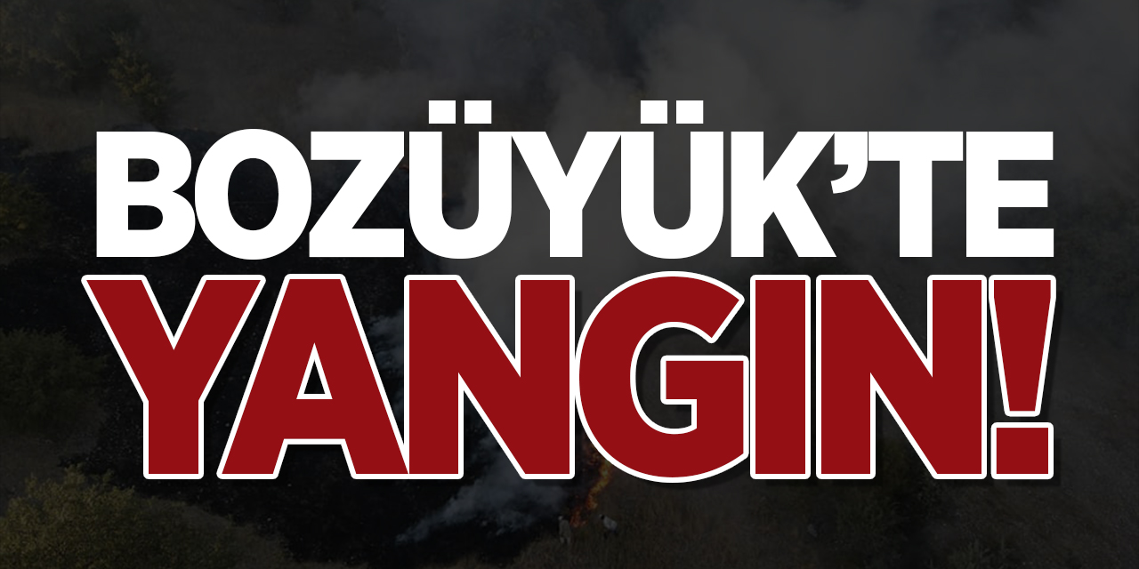 Bozüyük'te yangın!