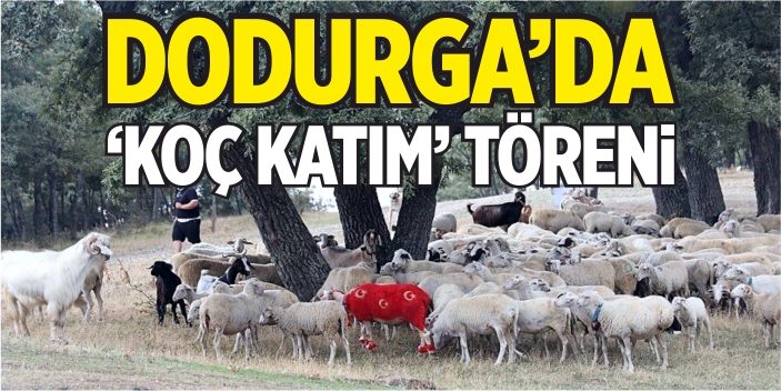 Dodurga'da "Koç katım" töreni