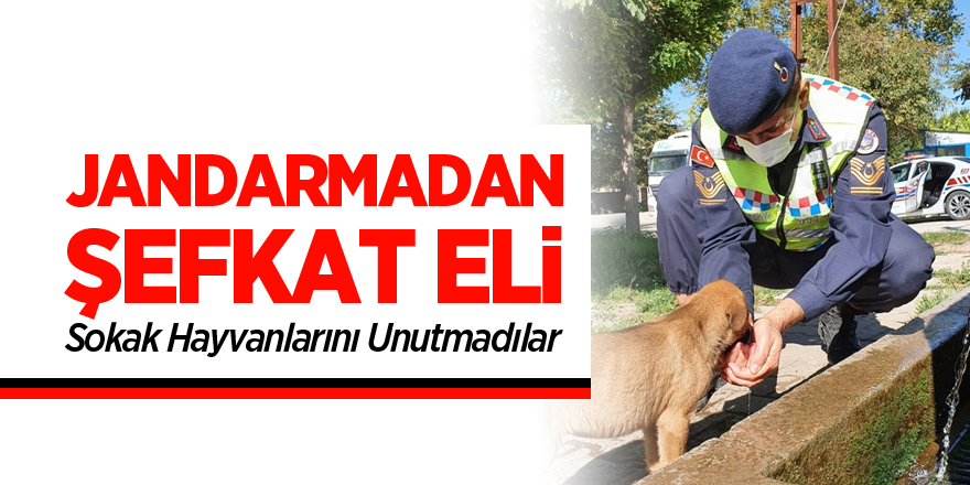 JANDARMADAN ŞEFKAT ELİ