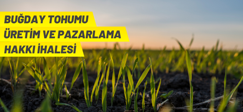 İzmir Karabağlar'da TOKİ konutları satışa çıkıyor