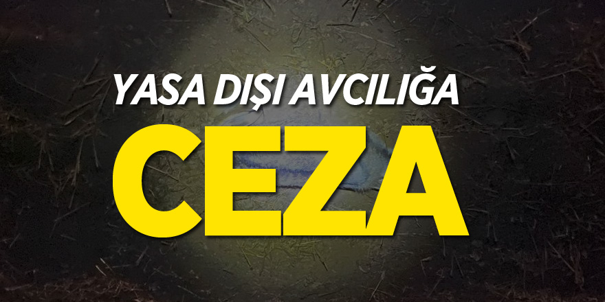 YASA DIŞI AVCILIĞA CEZA