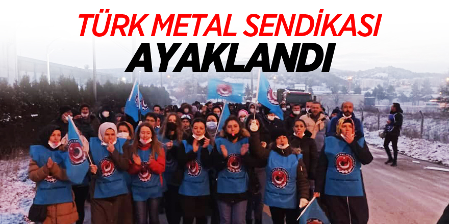 TÜRK METAL SENDİKASI AYAKLANDI