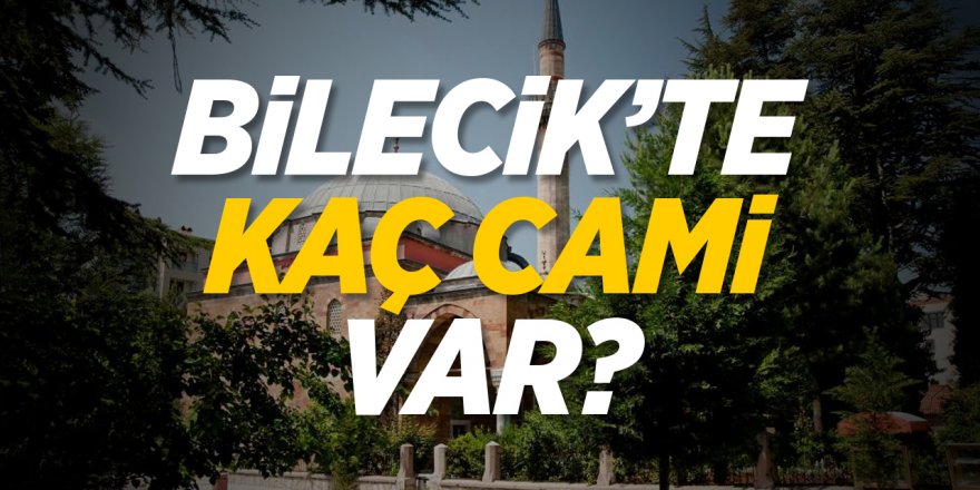 Bilecik'te kaç camii var?