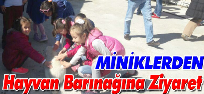 MİNİKLERDEN HAYVAN BARINAĞINA ZİYARET