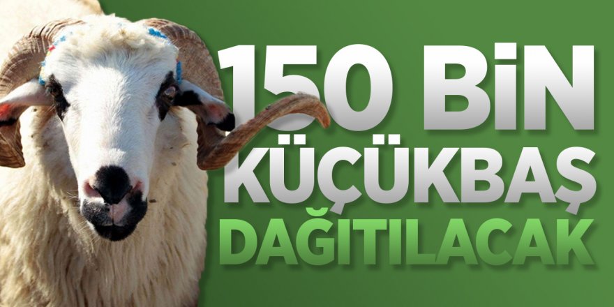 Bilecik'te 150 bin küçükbaş dağıtılacak