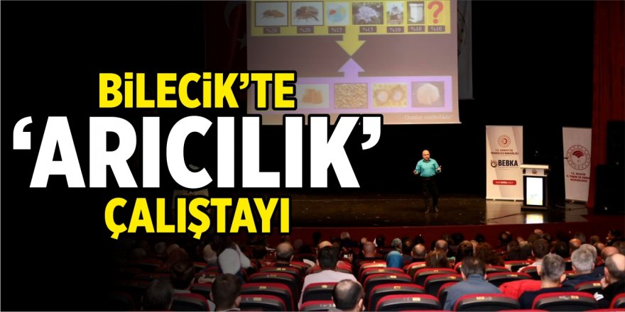 Bilecik'te arıcılık çalıştayı