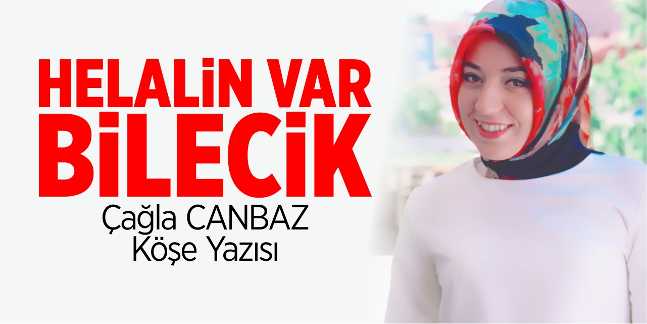 Helalin var Bilecik