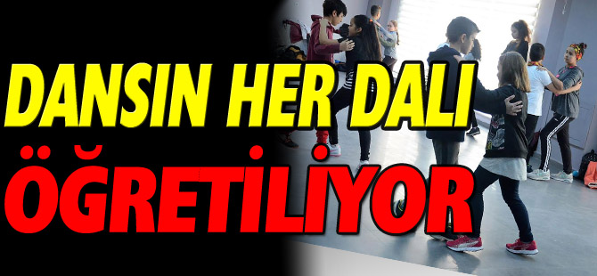 DANSIN HER DALI ÖĞRETİLİYOR