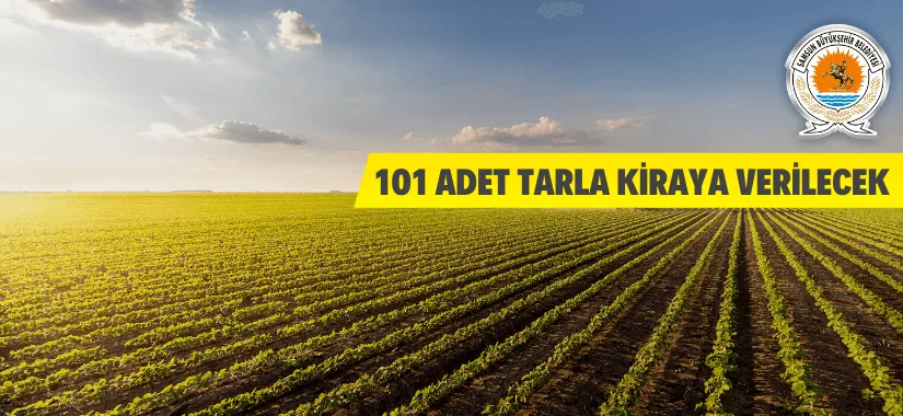 101 adet tarla kiraya verilecek