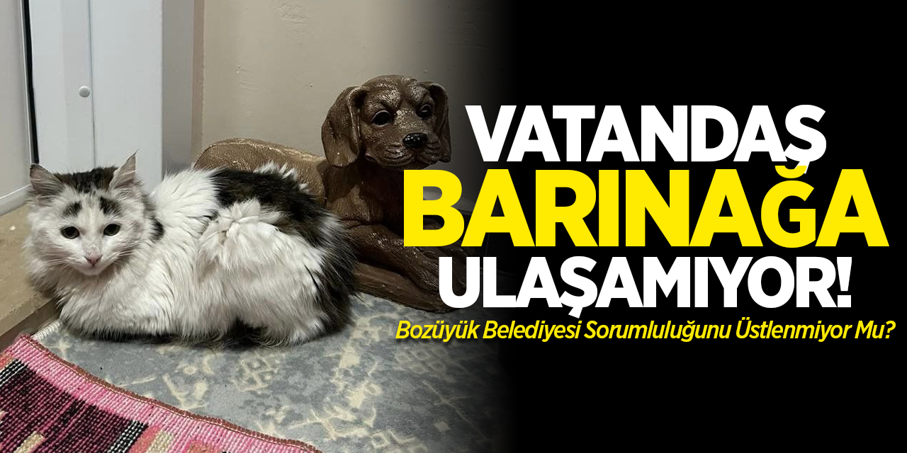 Vatandaş barınağa ulaşamıyor!