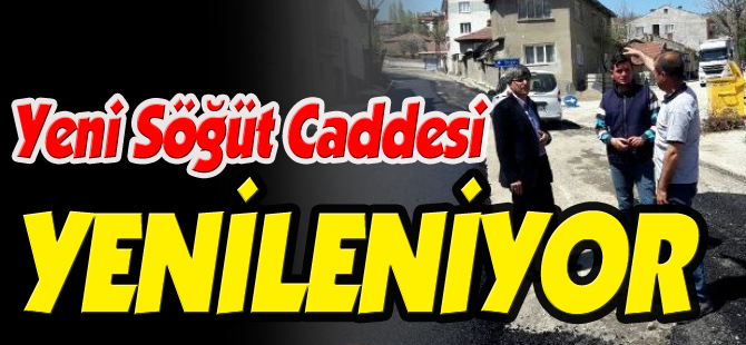 YENİ SÖĞÜT CADDESİ YENİLENİYOR