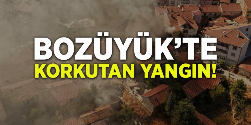 Bozüyük'te Korkutan Yangın!