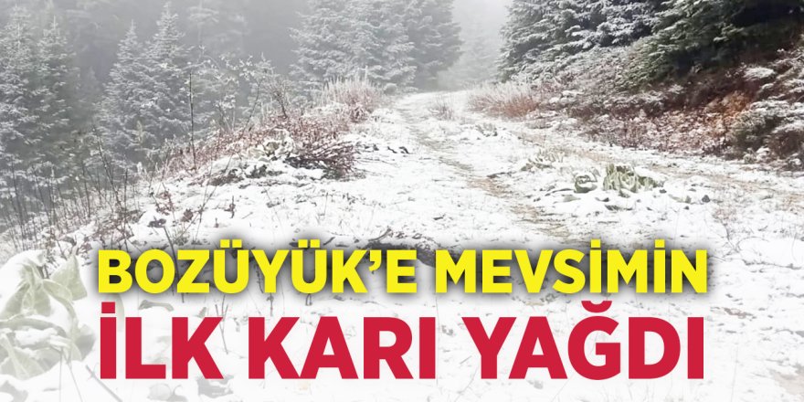 Bozüyük'e Mevsimin İlk Karı Yağdı