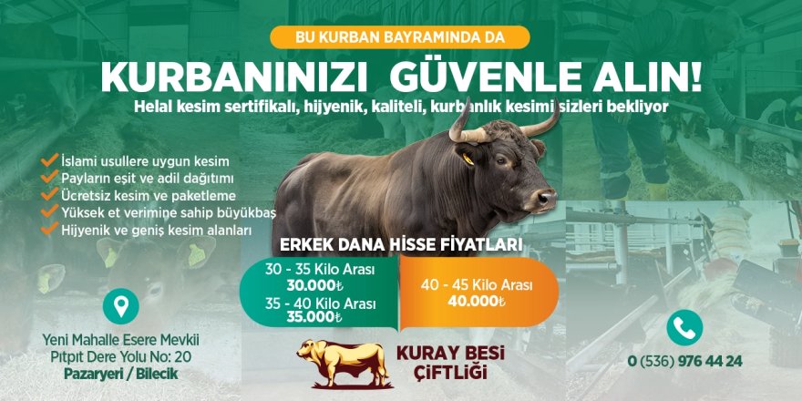 PAZARYERİ'NDE GÜVENİLİR KURBAN HİZMETİ: KURAY BESİ ÇİFTLİĞİ