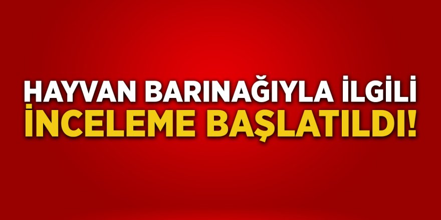 Hayvan Barınağıyla İlgili İnceleme Başlatıldı!