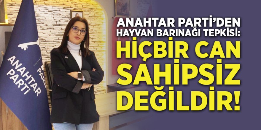 Anahtar Parti'den Hayvan Barınağı Tepkisi: "Hiçbir Can Sahipsiz Değildir!"