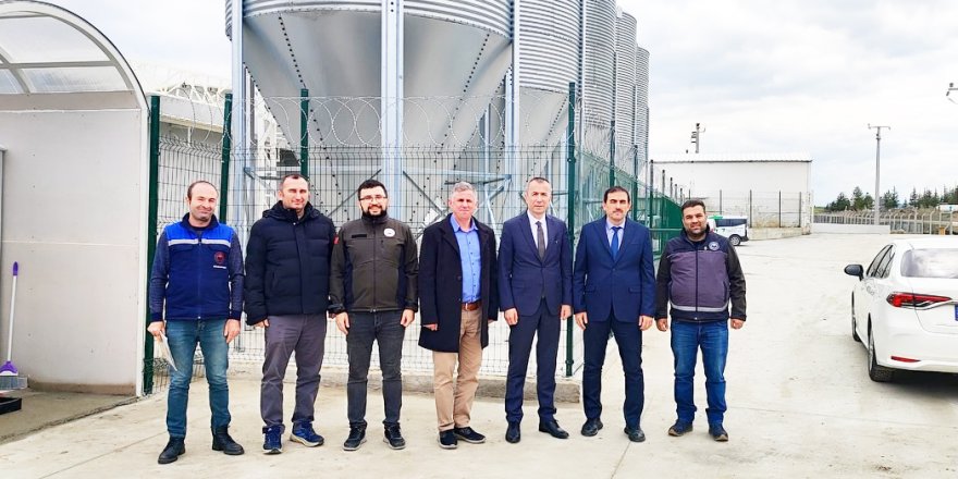 Müdür Ayvalık İncelemelerde Bulundu