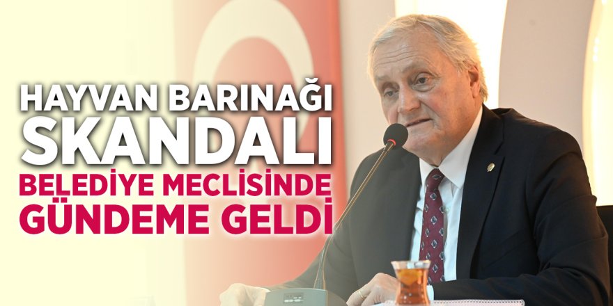Hayvan Barınağı Skandalı Belediye Meclisinde Gündeme Geldi