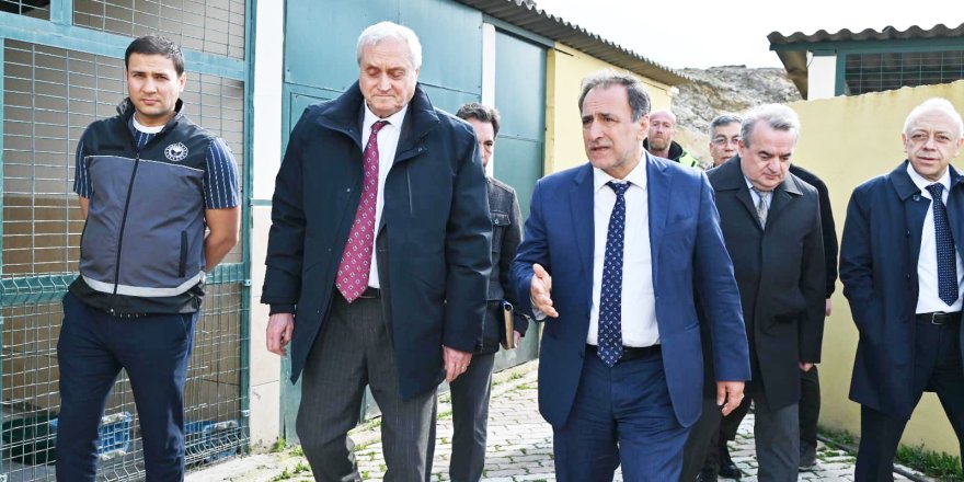 Bozüyük Hayvan Barınağında İnceleme