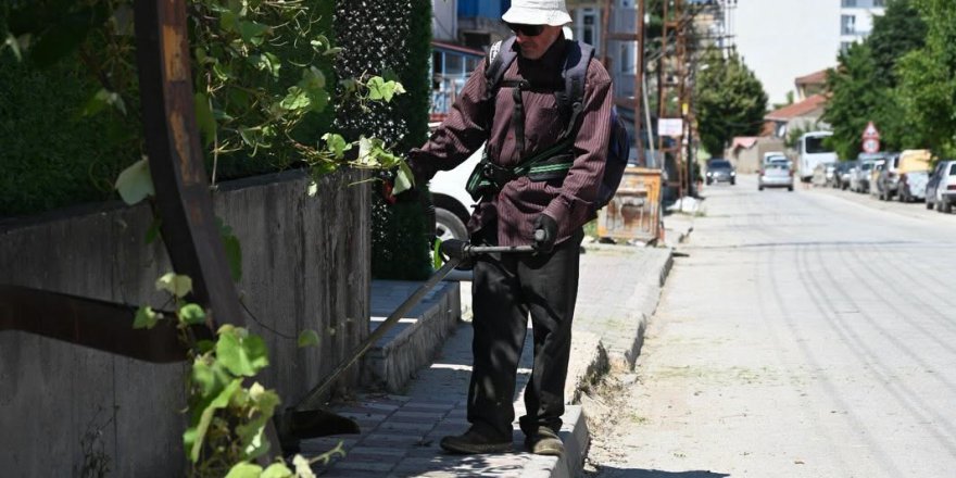 Bozüyük'te Ot Biçme Çalışmaları
