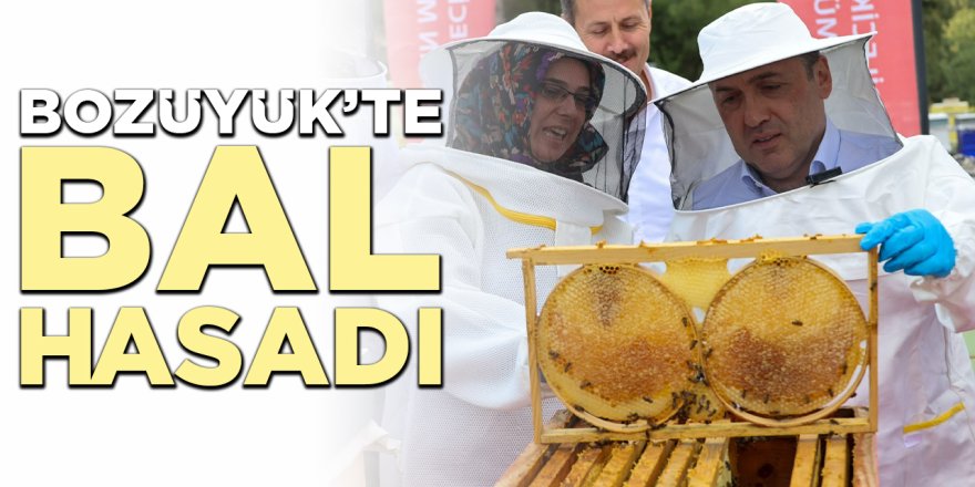 Bozüyük'te Bal Hasadı
