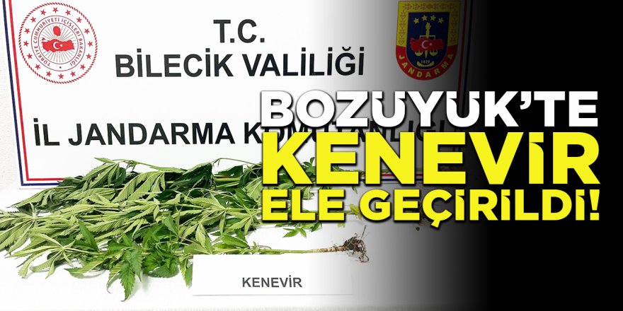 Bozüyük'te Kenevir Ele Geçirildi!