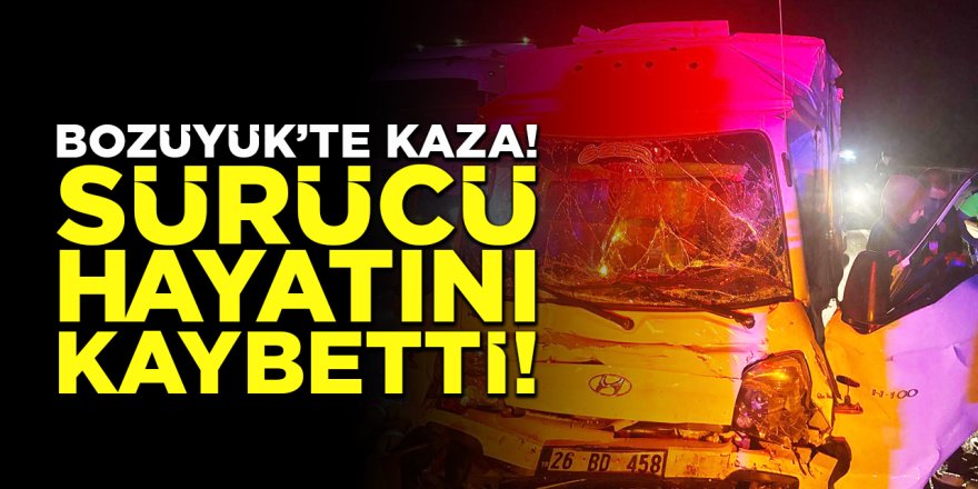 Bozüyük'te kaza: Kamyonet Sürücüsü hayatını kaybetti!