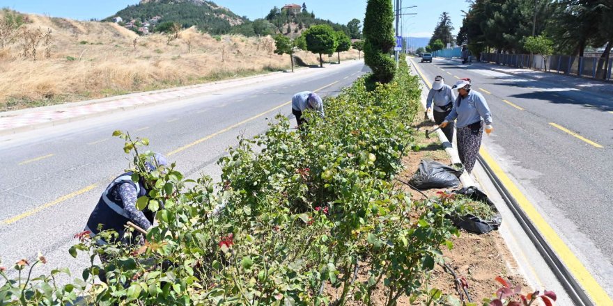 Orta Refüjlerde Bakım Çalışması