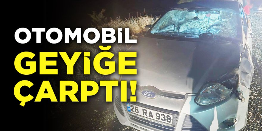 Otomobil geyiğe çarptı!