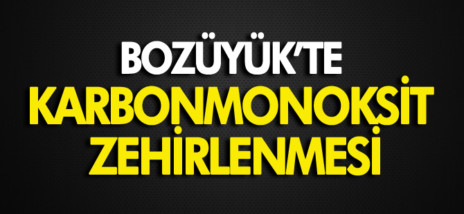 BOZÜYÜK’TE KARBONMONOKSİT ZEHİRLENMESİ