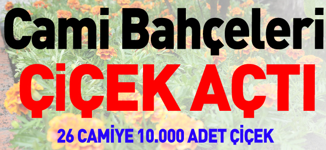 CAMİ BAHÇELERİ ÇİÇEK AÇTI