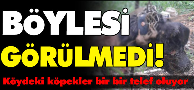 BÖYLESİ GÖRÜLMEDİ!