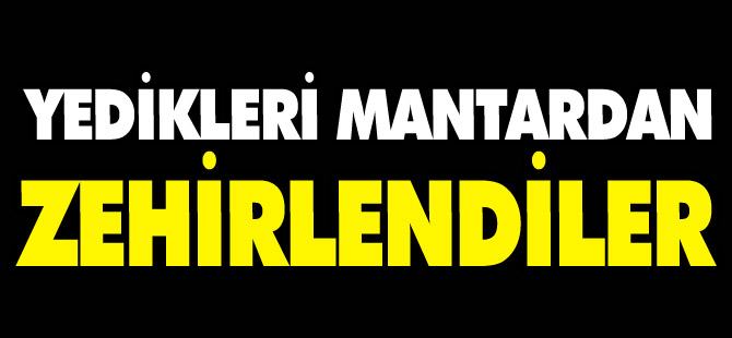 YEDİKLERİ MANTARDAN ZEHİRLENDİLER