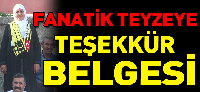 FANATİK TEYZEYE TEŞEKKÜR BELGESİ