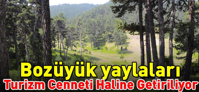 BOZÜYÜK YAYLALARI TURİZM CENNETİ HALİNE GETİRİLİYOR