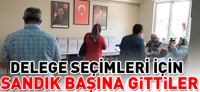 DELEGE SEÇİMLERİ İÇİN SANDIK BAŞINA GİTTİLER