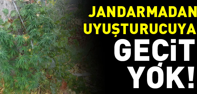 JANDARMADAN UYUŞTURUCUYA GEÇİT YOK