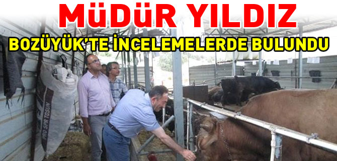 MÜDÜR YILDIZ, BOZÜYÜK’TE İNCELEMELERDE BULUNDU