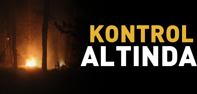 YANGIN KONTROL ALTINA ALINDI