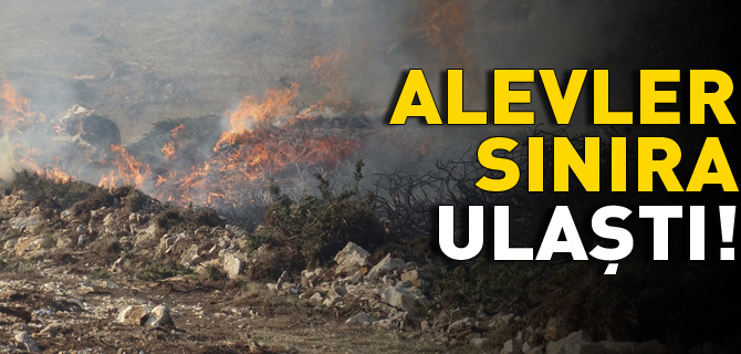 ALEVLER SINIRA ULAŞTI!