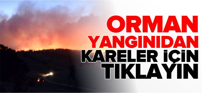 BOZÜYÜK ORMAN YANGINI