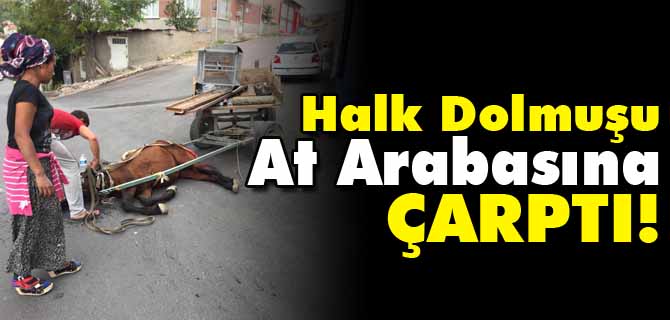 HALK DOLMUŞU AT ARABASINA ÇARPTI