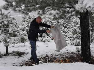 SOKAK HAYVANLARI VE YABAN HAYVANLARI BOZÜYÜK BELEDİYESİ’NİN KORUMASI ALTINDA