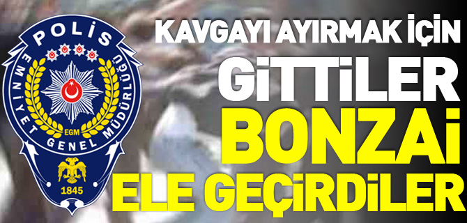 KAVGAYI AYIRMAK İÇİN GİTTİLER BONZAİ ELE GEÇİRDİLER