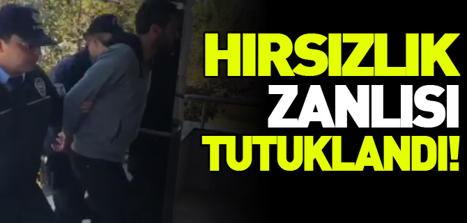 HIRSIZLIK ZANLISI TUTUKLANDI