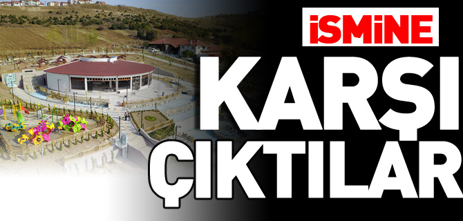 KARŞI ÇIKTILAR