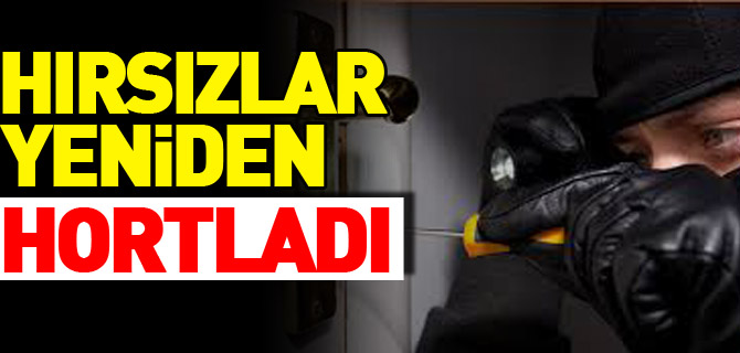 HIRSIZLAR YENİDEN HORTLADI